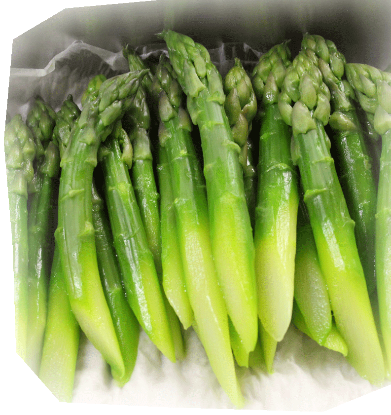 asperges-min