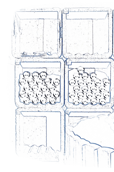 cave2b-min cave2b-min