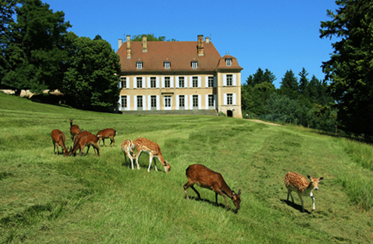 Photo de https://www.chateau-moidiere.com/